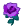 purple.PNG