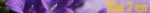 bannerinfo.jpg