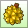 durian.png