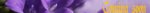 cominginfo.jpg