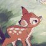 Shylime