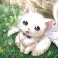 X_Jaykitty_X
