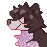 dogku