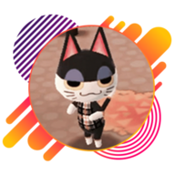 PunchyTheCat