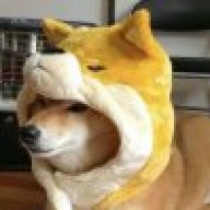 gingaus