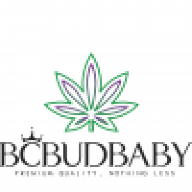 BCBUDBABY