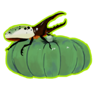 Bugs