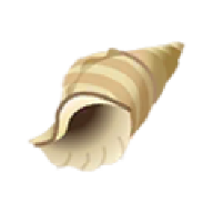 Shesellsseashells