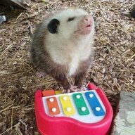 softfawnling