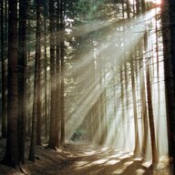 followthepath
