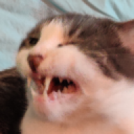 SuddenlySleepy