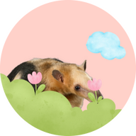 Tamandua