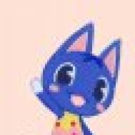 Bibi Kitten