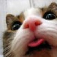 MeowMix