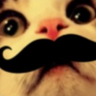 SneezingPrince