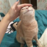 Worm :]