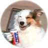 Fazana