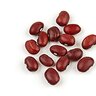 Bean.Hub