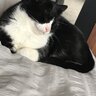 Gummykitty01