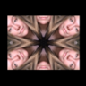 ZenadiaRye