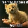 Fearthecuteness