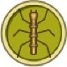 Walking Stick