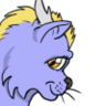 brightcat135