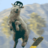 WakingSheep