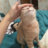Worm :]