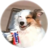 Fazana