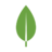 LeafyWeafy