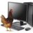 Pollo