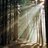 followthepath