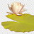 Lovely_lily_pad