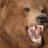 Bearnostic