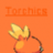 torch