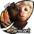 Marmoset