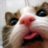 MeowMix