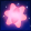 Pink Star Fragment