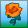 Orange Hybrid Rose