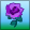Purple Hybrid Rose