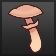 Blushing Maiden Foraged Mushroom Blushing Maiden Foraged Mushroom