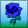 rose-blue.png