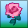 rose-pink.png