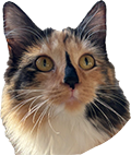 pepper.png
